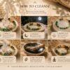 WhatsApp Image 2026-07-10 at 7.58.02 PM Dhyanyog Crystal Bracelet