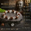 Rudra Spatik Bracelet