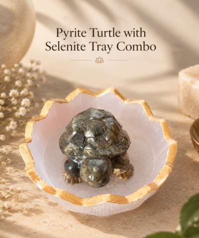 Pyrite Turtle + Selenite Tray Combo
