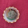 IMG-20260923-WA0024.jpg Wealth Attraction Combo | Money Magnet Crystal Bracelet, Pyrite Rock & Selenite Tray