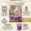 1791800179781 AuraLuxe Jasmine Aromatherapy Pillar Candles